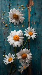 Fototapeta premium Daisy Atop a Rustic Wooden Background, Capturing the Essence of Spring in a Natural Aesthetic Overhead View