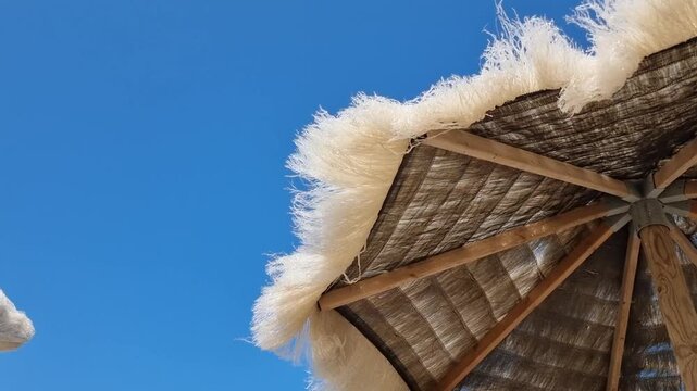SEA UMBRELLAS IN THE WIND AND BLUE SKY