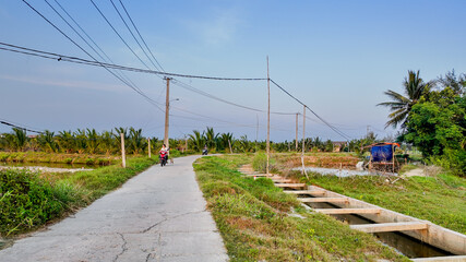 Vietnamese rural landscape with motorcyclists on a narrow road, illustrating everyday commute and infrastructure in agricultural regions