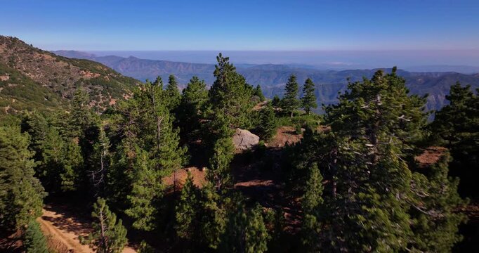 Aerial Drone Pine Mountain Trees Ojai California