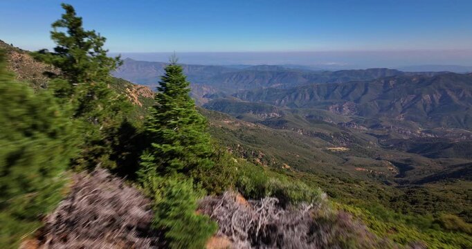 Los Padres California Pine Tree Forest Ojai Aerial Video 