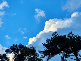 Blue sky with fluffy white clouds. summer sky. Cumulus clouds. Korea