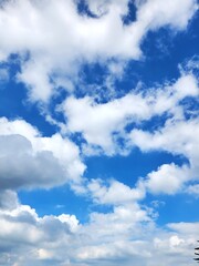 Beautiful white clouds in the sky.