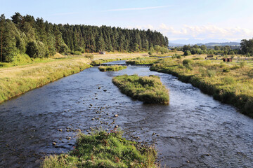 The Biały Dunajec River and the peat bog reserve in Nowy Targ.