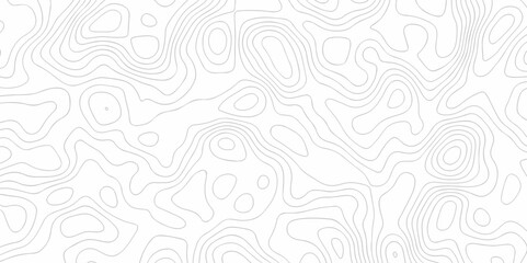 Topography wave line vector grid map. white wave line geography landscape Topo contour map on white background. Geographic mountain relief diagram line wave carve pattern.