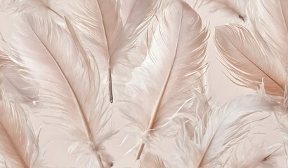 Pastel soft feathers as pattern texture background