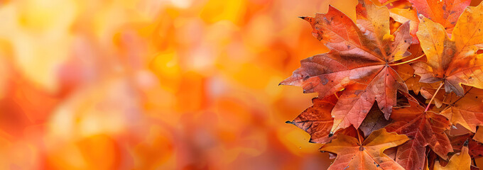 Fototapeta premium Layout of colorful maple leaves, autumn foliage. Scenic autumn, fall background. Copy space. Generative ai