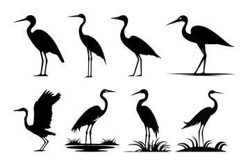 Black Bird Set on Transparent Background PNG