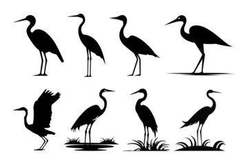 Black Bird Set on Transparent Background PNG