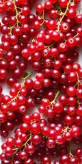 Red currant berries. Nature, organic food background