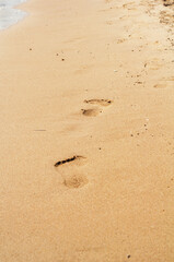 footprints on beach by the sea