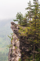 mountain cliff with vegetation and pine trees