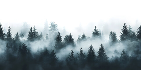 Misty foggy forest monochrome silhouette trees background