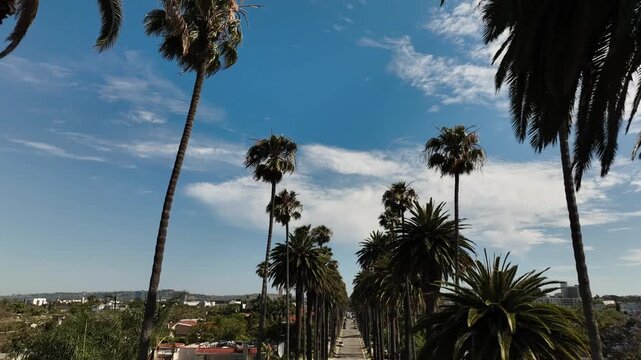 Luxurious Beverly Hills: Aerial Drone Views of Iconic Palms and Mansions