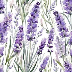 Obraz premium watercolor flowers lavender isolated on white 