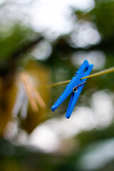 blue clothespin on a line