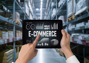 E-commerce data software provide modish dashboard for sale analysis to the online retail business