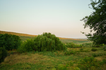 sunrise over a green field in Moldova