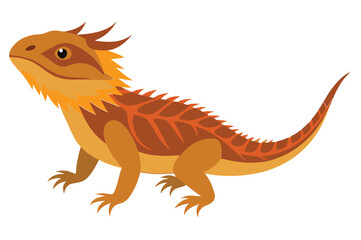 Bearded dragon animal flat vector illustration on white background 