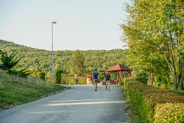 Naklejka premium Wild animals in an open ZOO