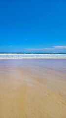 A beach scene with clear blue skies and gentle waves in the distance. The wet sand of the shoreline is looking out towards the ocean