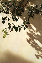 Shadow of Leaves on Sunlit Wall