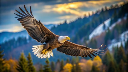 Obraz premium Bald Eagle Soaring Above Autumn Forest, Landscape, Bird, Wildlife, Freedom