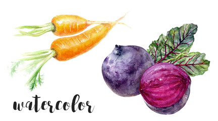 A Beautiful and Colorful Watercolor Illustration Featuring Various Vegetables