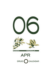 Druidic plant calendar of trees and flowers. Celtic astrological horoscope. Eco design for natural decor