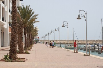 street with palm trees in the city