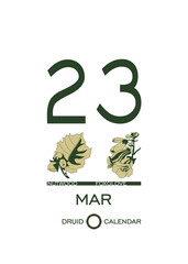 Druidic plant calendar of trees and flowers. Celtic astrological horoscope. Eco design for natural decor