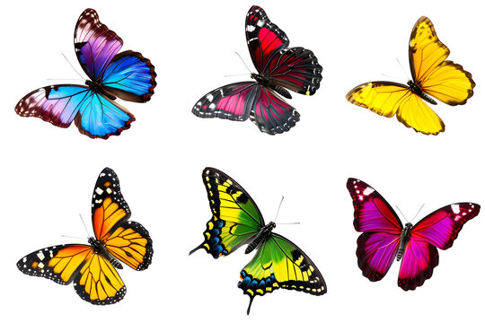 Fototapeta Set of colorful butterfly isolated on transparent background. PNG, cutout. Clipart collection of bright butterflies with beautiful wings.