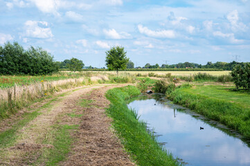 The natural fenn and wetlands of the Rijkerswoerdse Plassen between Arnhem and Nijmegen, Gelderland, The Netherlands