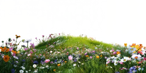  Green hills of flowers and flora landscape cut out PNG isolated transparent overlay © blinkstud.io