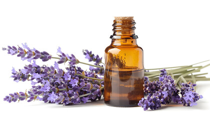 Bottle with aroma oil and lavender flowers isolated on white background