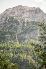 view from the mountain