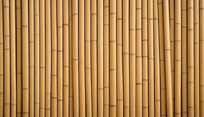 A background showcasing a natural bamboo texture with vertical striations and a light, warm tone, creating a fresh and eco-friendly look. Multiple variations available