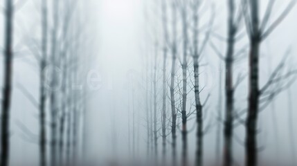 Serene Mystery: Tranquil Blurred Forest in Enigmatic Fog