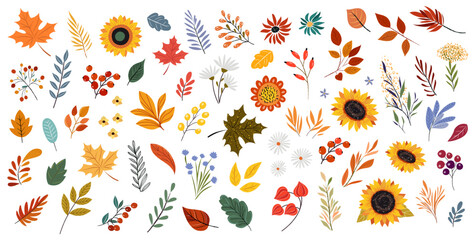 Big set of leaves flower autumn. Hello Autumn. Leaves bouquet flowers twigs. For flyer, poster, banner, brochure, email header. isolated on white background