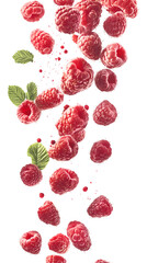 Falling juicy raspberries isolated on white background, full depth of field, transparent png background
