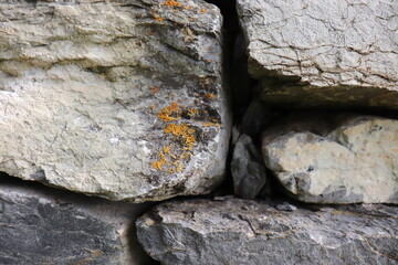 Gray stone blocks with soil and plants.

