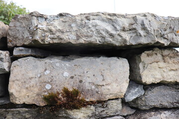 Gray stone blocks with soil and plants.

