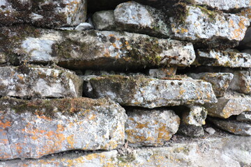 Gray stone blocks with soil and plants.

