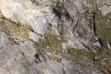 Gray stone blocks with soil and plants.


