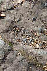 Gray stone blocks with soil and plants.


