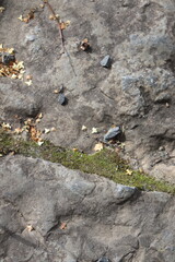 Gray stone blocks with soil and plants.

