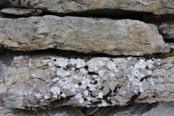 Gray stone blocks with soil and plants.

