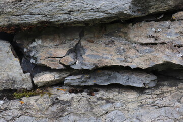 Gray stone blocks with soil and plants.

