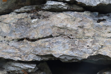 Gray stone blocks with soil and plants.

