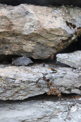 Gray stone blocks with soil and plants.

